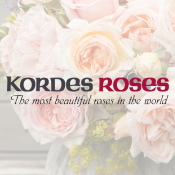 Kordes' Roses