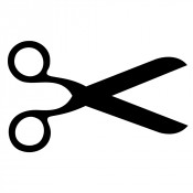 Cut Flower Varieties