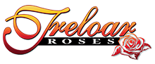 Treloar Roses