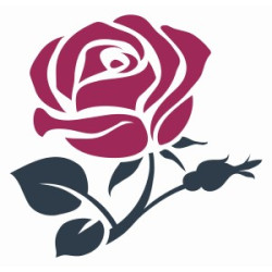 Gift a Rose!